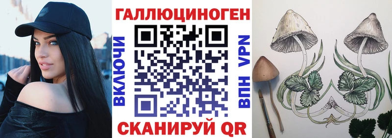 Псилоцибиновые грибы Psilocybe  Купить где  Зима 