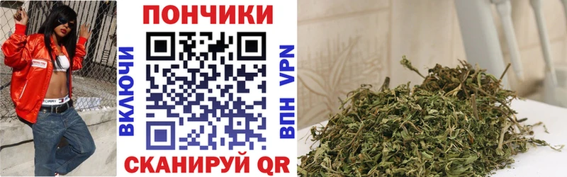Конопля AK-47  Купить где  Зима 